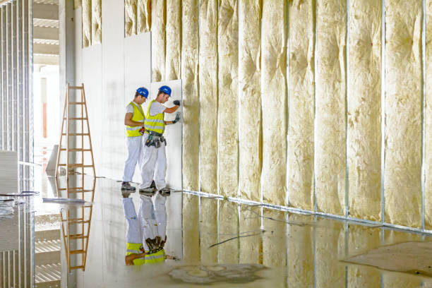 Best Residential Insulation in Gladeview, FL